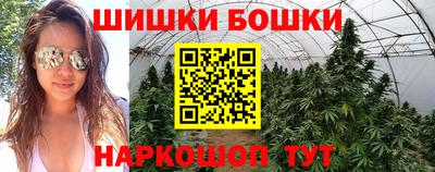 jwh Будённовск