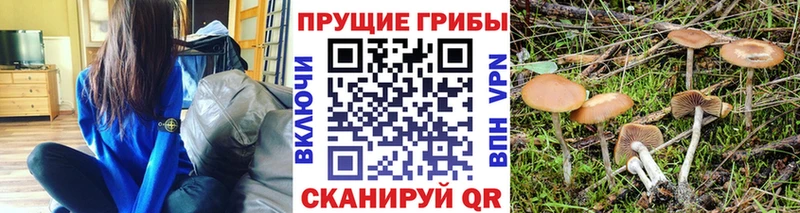 мега зеркало  Ессентуки  Псилоцибиновые грибы GOLDEN TEACHER 