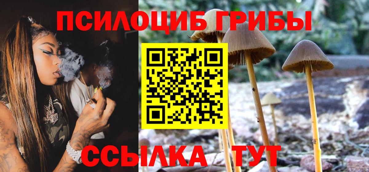 Галлюциногенные грибы прущие грибы Ессентуки