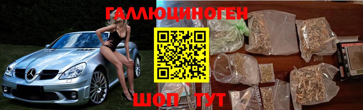 Галлюциногенные грибы Psilocybe  Вход с VPN  Галлюциногенные грибы Magic Shrooms  Ессентуки 