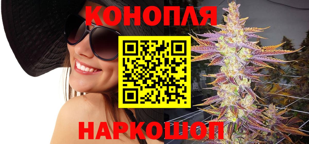 Бошки марихуана сатива Ессентуки